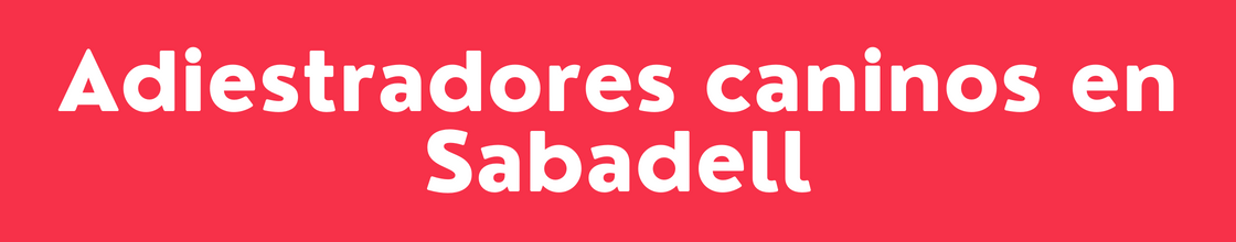Adiestradores caninos en Sabadell - DelVallesing
