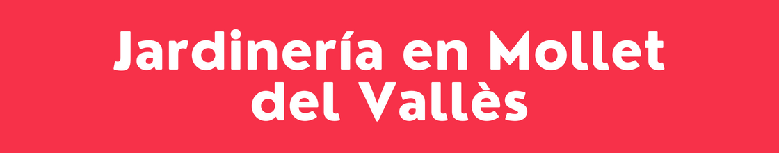 Jardinería en Mollet del Vallès - DelVallesing