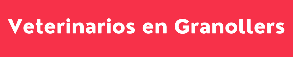 Veterinarios en Granollers - DelVallesing
