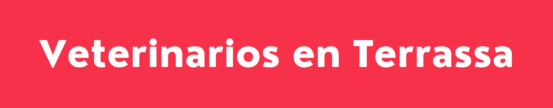 Veterinarios en Terrassa - DelVallesing
